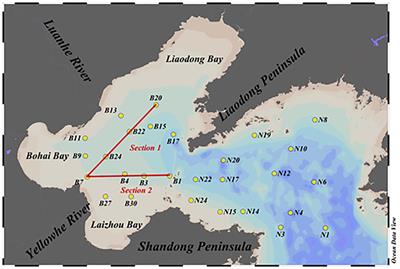 Study on the seasonal variations of dimethyl sulfide, its precursors and their impact factors in the Bohai Sea and North Yellow Sea